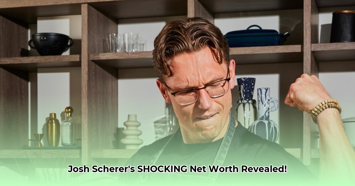 josh-scherer-net-worth